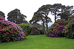 Muckross House, Killarney