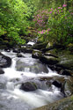 Torc waterfall, Killarney