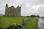 Leamaneagh Castle, Omgeving  Killfenora, West Ierland
